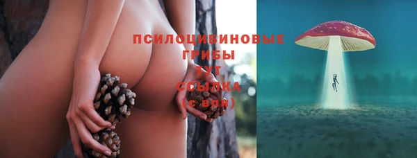 прущие грибы Нефтекумск