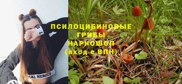 ALPHA PVP Новозыбков